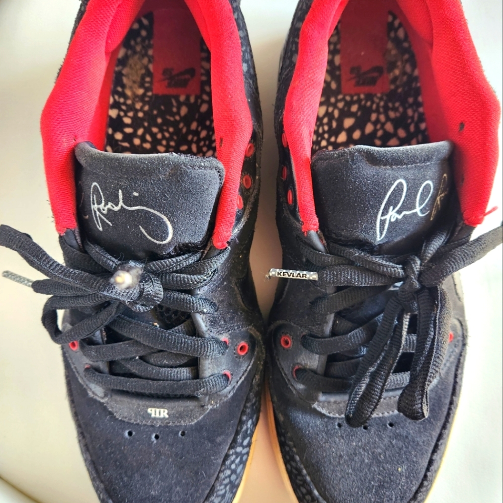 Paul Rodriguez Nike SB size 12 men's